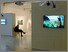 Installation View, 'Quinn: A Journey', Herbert Art Gallery & Museum, Coventry 4th Feb - 31st May 2020