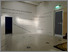 Installation View, 'Quinn: A Journey', Herbert Art Gallery & Museum, Coventry 4th Feb - 31st May 2020