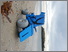 Sand Chair at Marazion beach
