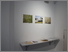 [thumbnail of Participant in the group exhibition ‘Making Good’ curated by Sian Bonnell / Green Hill Arts / Moretonhampstead, UK; Gallery, Penryn Campus / Falmouth University, UK / 2013 / © George Meyrick]
