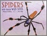 [thumbnail of Spiders bookcover.jpg]