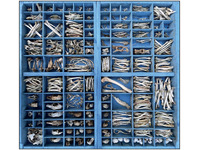 Bone Tray. Buckenham Marshes, Norfolk - Railway Bones Collection 2023.
