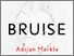 [thumbnail of the cover of the novel Bruise]