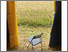 [thumbnail of Image of chair in tent doorway]