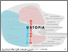 [thumbnail of Deconstructive and Cognitive visual literature maps inspired by MaddAddam - Cartographical configurations Reference : M. Atwood, M. Foucault, Esther Muñoz-González and Wael Mustafa]