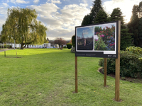 Installation view of Havens: Stories and Portraits from NHS Lothian