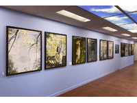 Installation View of 'Havens' exhibition, Royal Edinburgh Hospital, Edinburgh, Scotland