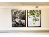 Installation view, exhibition Western General Hospital, Edinburgh, Scotland