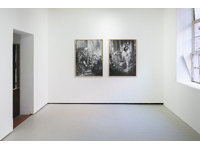 Pollinators (i) and (xii), Wendy McMurdo - Installation View, 'If Not Now, When?' Patricia Fleming Gallery