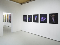 The Radical Road, Wendy McMurdo - Installation View, 'If Not Now, When?' Patricia Fleming Gallery