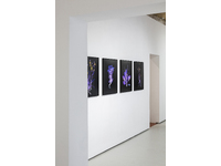 the radical road, installation view, Patricia Fleming Gallery