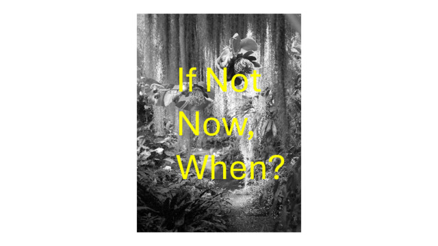 If Not Now, When? Group Exhibition, Patricia Fleming Gallery, Glasgow, UK