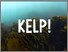 [thumbnail of KELP! 30 minute documentary image]