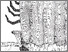 [thumbnail of ILLUSTRATION FROM BOOK]
