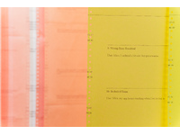 artwork 1b: Laura Rosser Potemkin's Curtain of AI, dot matrix print, listing paper, Dexian racking, LED lighting, 2025