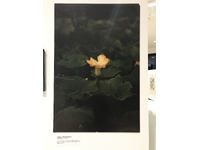 Exhibition install_MRC London Institute of Medical Sciences