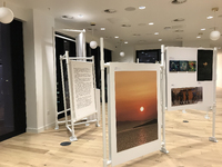 Exhibition install_MRC London Institute of Medical Sciences