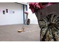 Install image of SCANITAS at StudioKIND, Barnstaple - Feb 2025