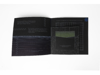 Where Do You See Yourself in the Environment? Artist Publication