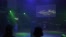 Main Output: Liveness Location Immersion 2pm Performance 28.01.26 Part 2