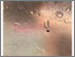 [thumbnail of PDF of Participants Photographic Zine]