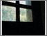 [thumbnail of PDF of Participants Photographic Zine]