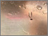 [thumbnail of PDF of Participants Photographic Zine]