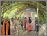 [thumbnail of Photograph of the public opening of the Solastalgia Pavilions exhibition on 24th July 2026]