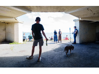Moimi Oczami / Through My Eyes. Plymouth 2026. Image: Steve Tanner.jpg