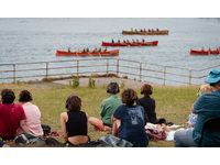 Moimi Oczami / Through My Eyes. Plymouth 2026. Image: Steve Tanner.jpg