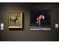 The Digital Mirror - installation view