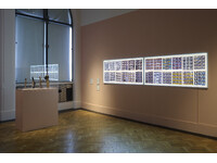 The Digital Mirror - installation view