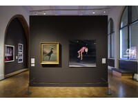 The Digital Mirror - installation view