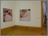 Installation image of exhibition - National Museum of Wales