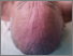 Image from the series The Myth of Sexual Loss