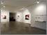 [thumbnail of Installation image of exhibition at La Centrale, Montreal]